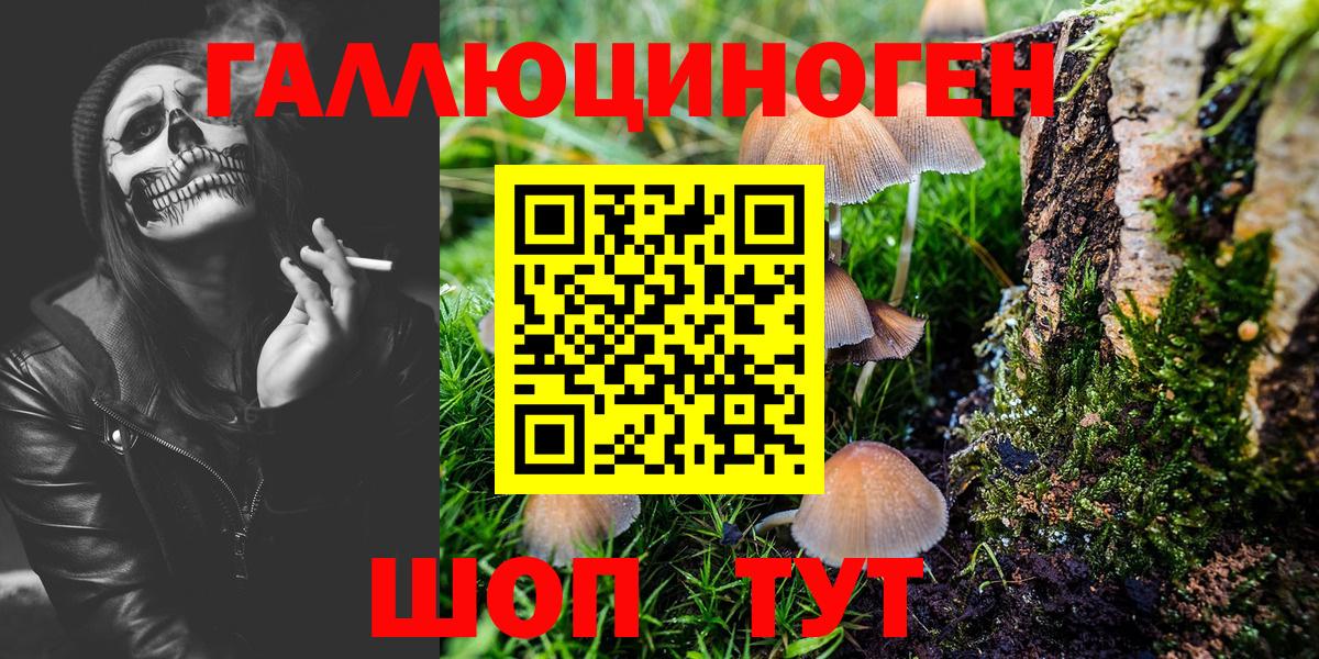 Мытищи  Галлюциногенные грибы Psilocybine cubensis  Псилоцибиновые грибы Psilocybe  Вход с VPN 